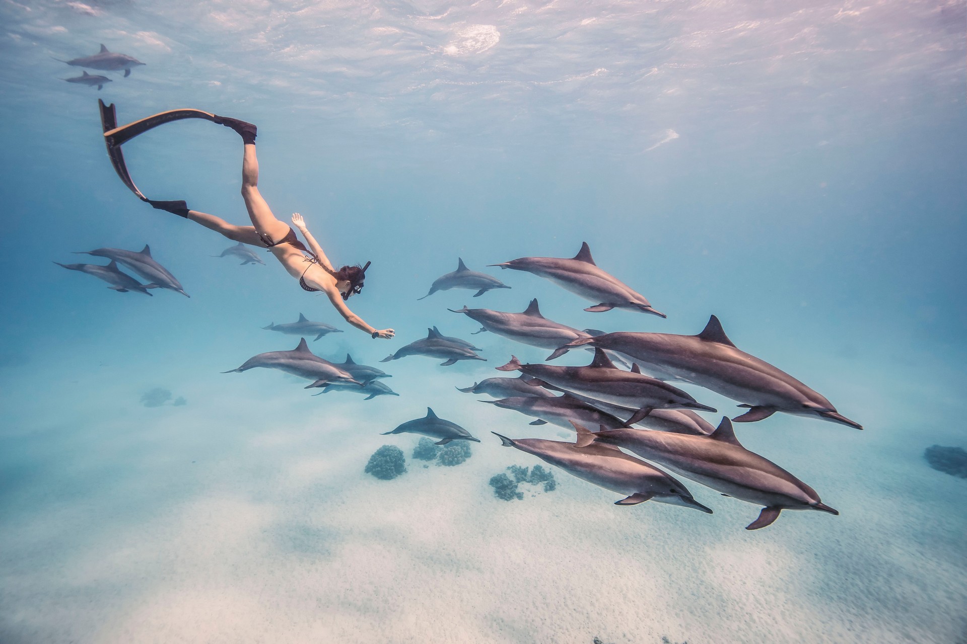 Woman Snorkeling With Fishes Underwater