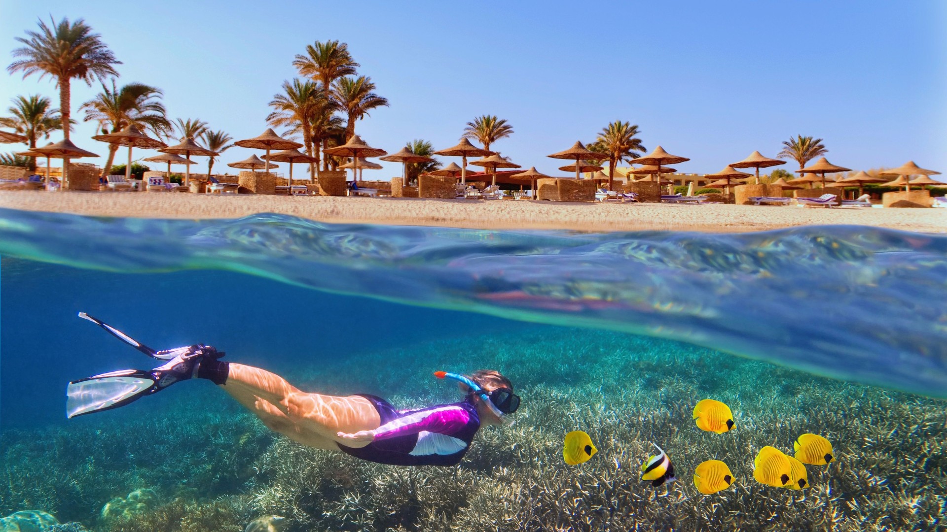 Woman snorkeling near tropical coral reef. Beach with palms and sun umbrelas on the background, Red Sea, Egypt