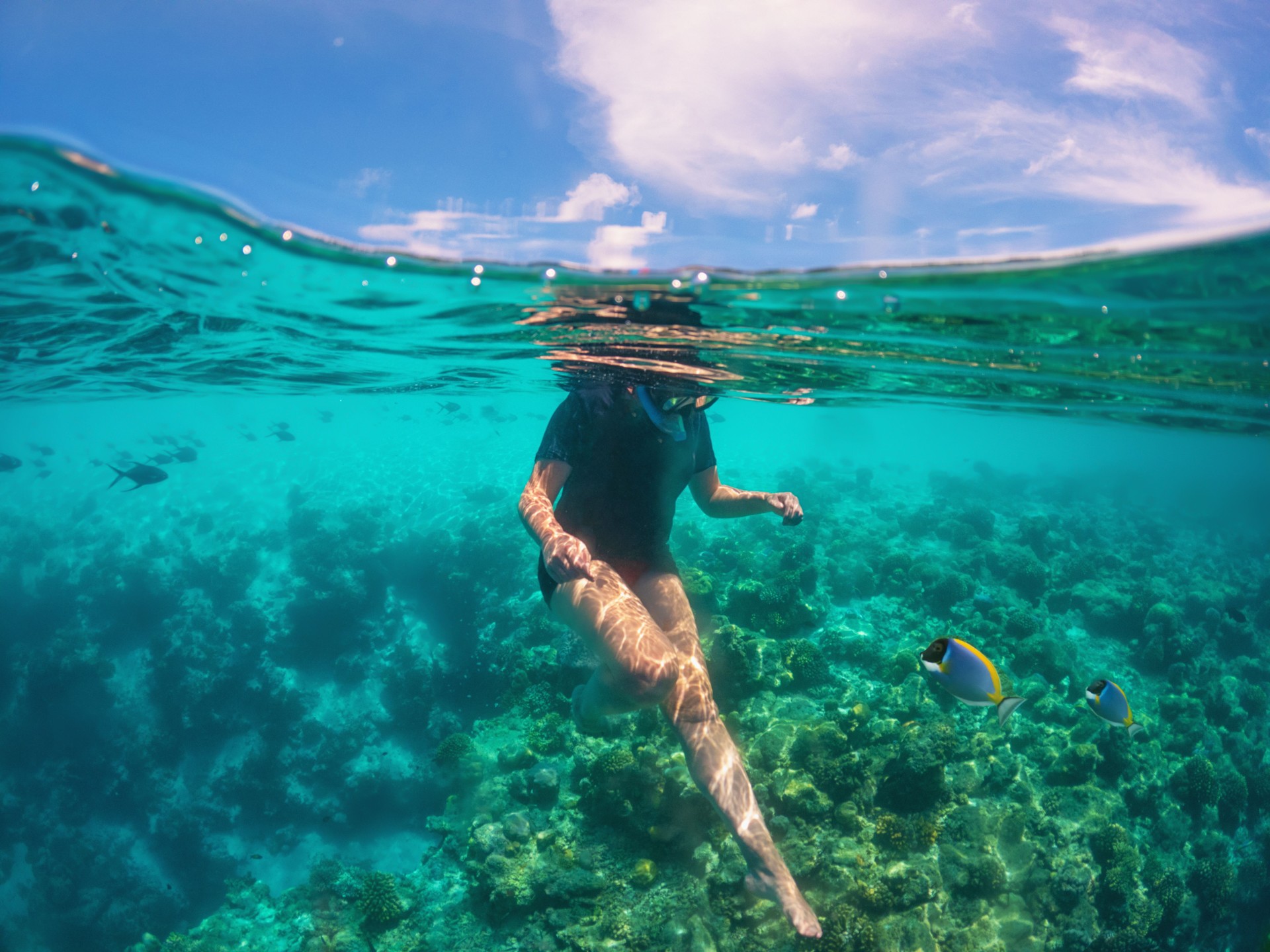 Woman discover small fish while snorkeling in Maldives underwater.